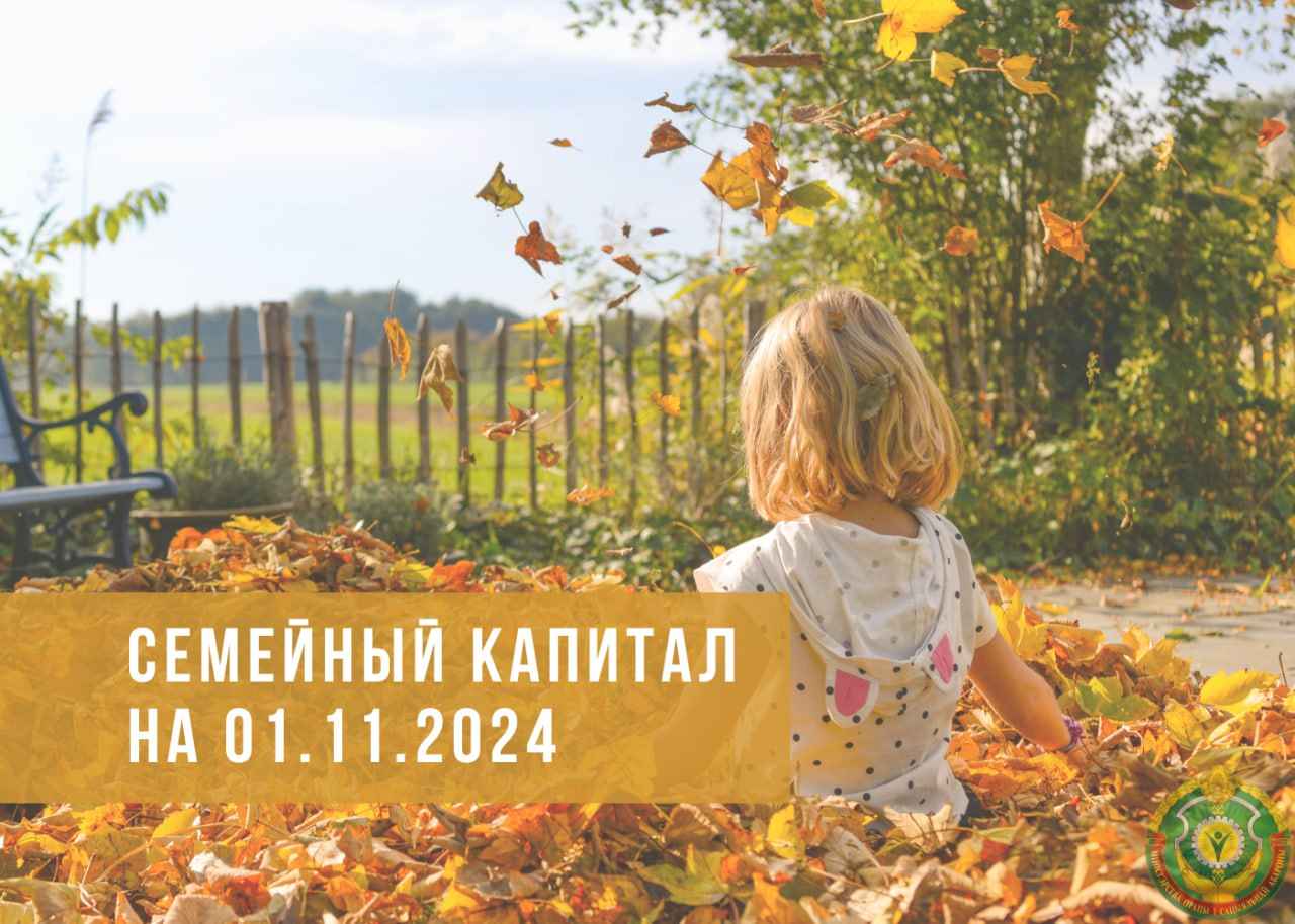 Семейный капитал для многодетных семей на 1 ноября photo_2024-11-13_12-25-49
