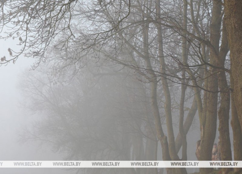 Погода на сегодня. Слабый ветер и туман, до -6°С