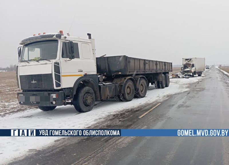В Гомельском области в аварии погибла женщина