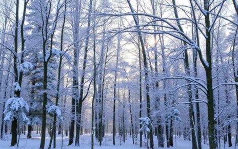 Зима еще порадует белорусов снегом