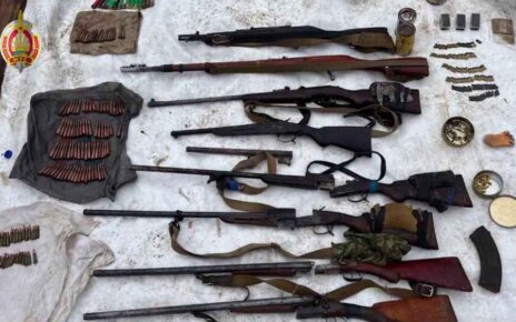 Внушительный арсенал оружия изъят на Минщине
