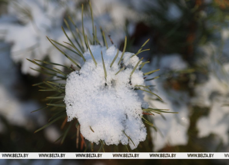 ожидается по-настоящему зимняя погода