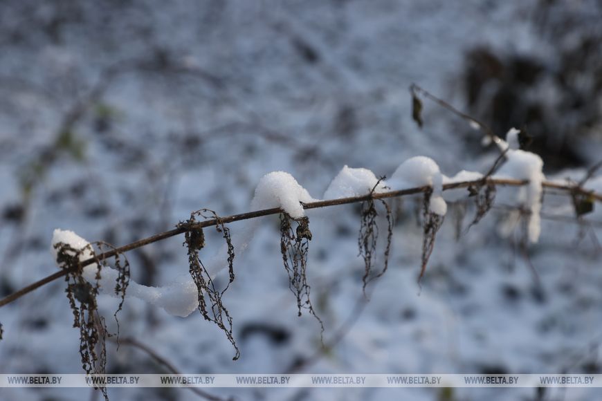 ожидается по-настоящему зимняя погода