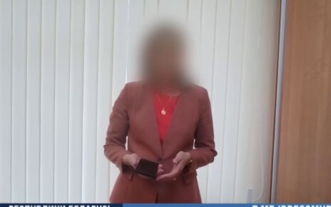 Минчанка «задекларировала» почти полмиллиона рублей