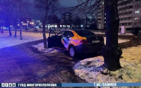 На «Жуковского» каршеринг врезался в дерево