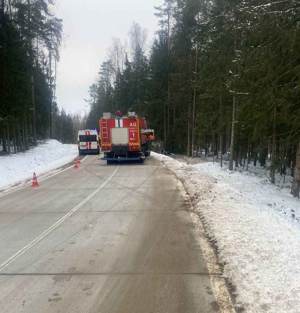 Водитель погиб, пассажиры получили травмы в Логойском районе