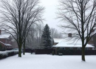 Снег и сильный ветер ожидаются 17 марта в Беларуси