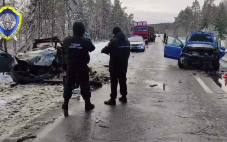 В "лобовом" ДТП под Быховом пострадали семь человек