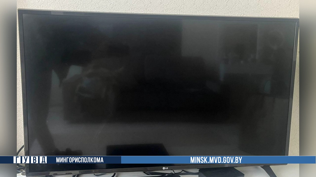 Минчанин продал телевизор из съемной квартиры