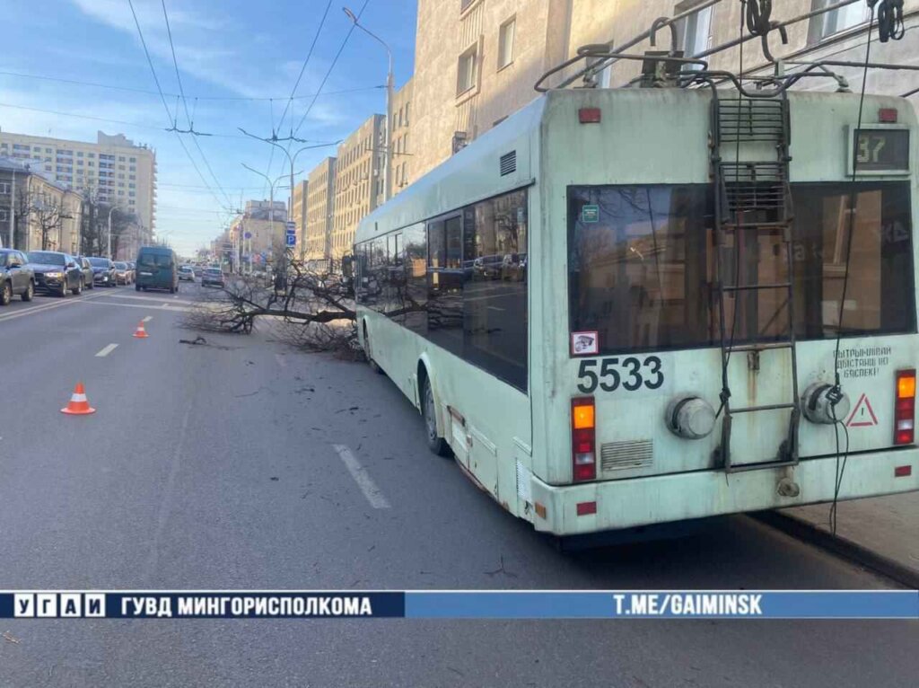 Троллейбус врезался в дерево на ул. Сурганова