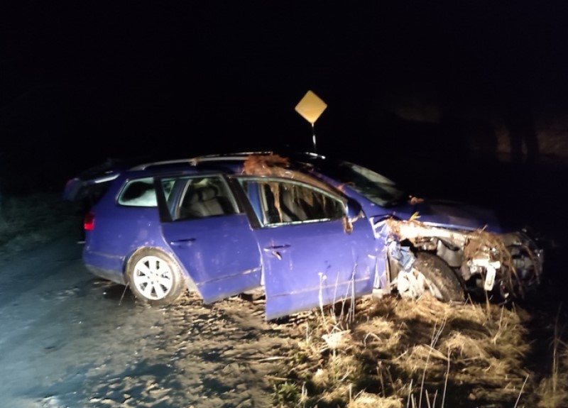 В аварии в Лунинецком районе погибла подросток: автомобиль упал с моста