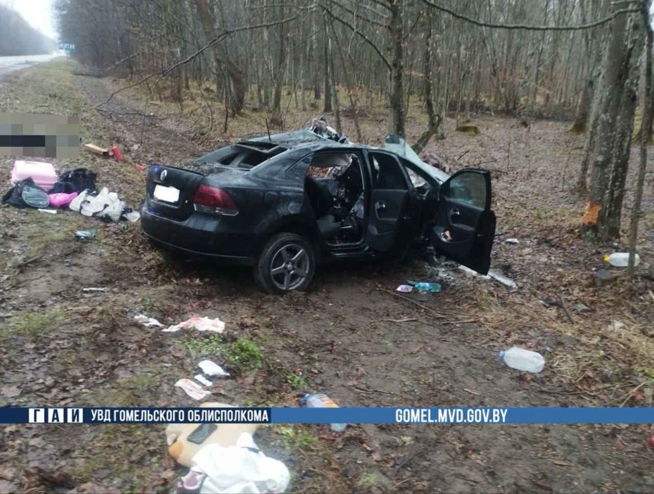 В ДТП с лосем погиб водитель и трое получили травмы: в Добрушском районе