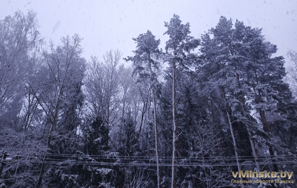 В Минске резко похолодает, будет снег: прогноз погоды на 10 дней