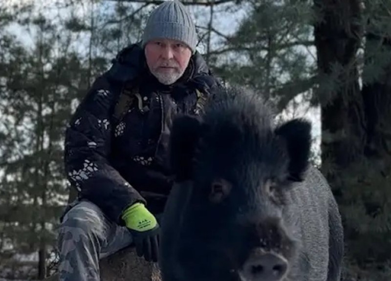 Как белорус приручил дикого кабана и заменил ему маму и папу