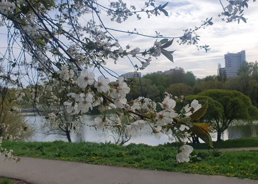 На ближайшей неделе дожди, грозы и мокрый снег