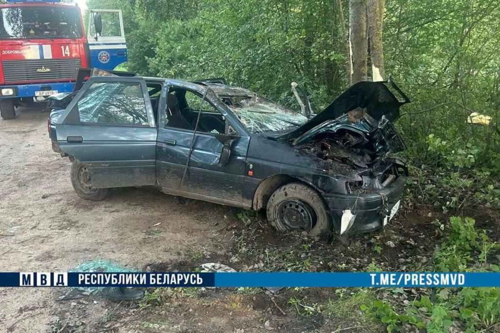 В аварии на Брестчине двое погибших: бесправник врезался в дерево