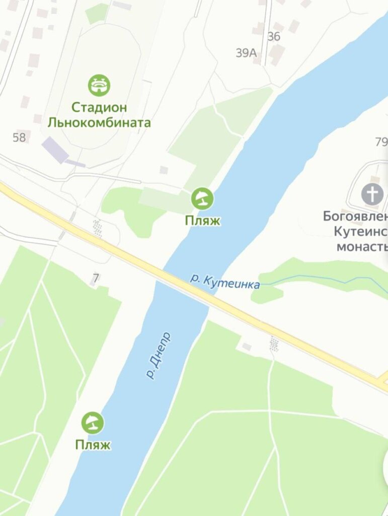 В Днепре утонула женщина