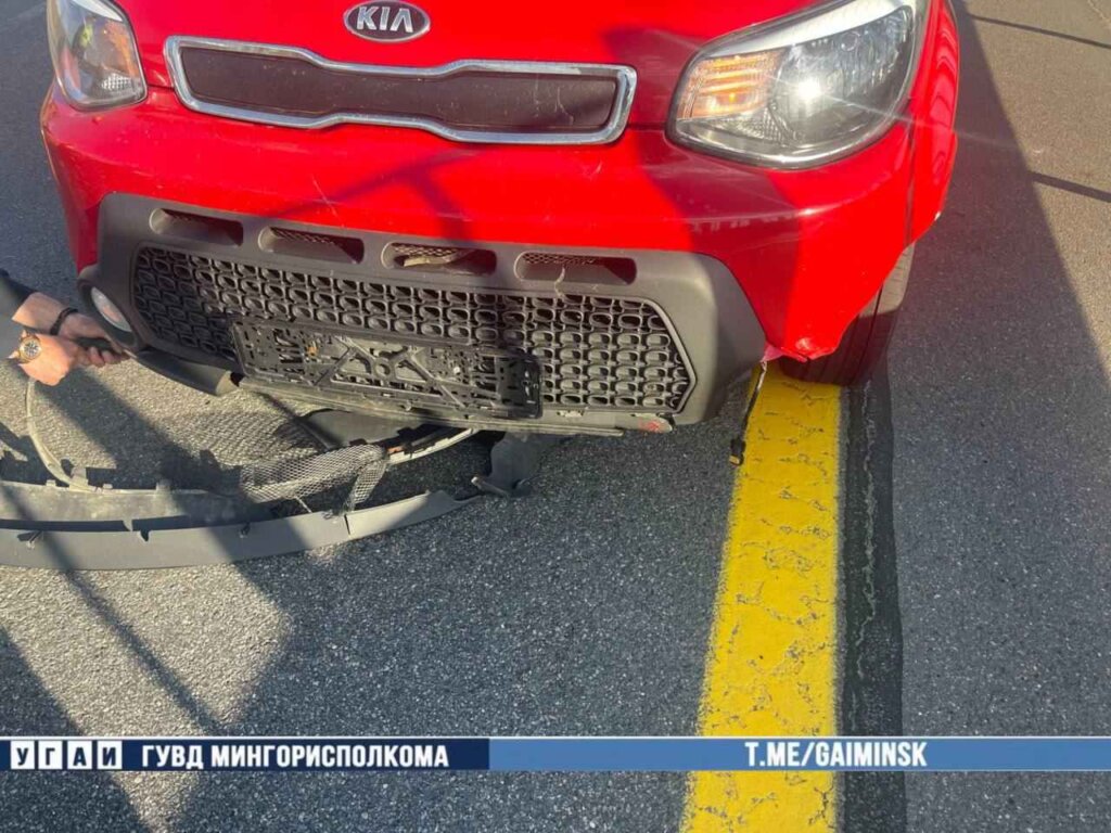 На МКАД водитель «KIA» сбил косулю