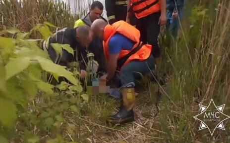 В Бресте на водоеме спасен четырехлетний мальчик