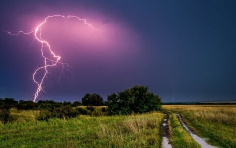 Мужчина чудом выжил после удара молнии в Петриковском районе