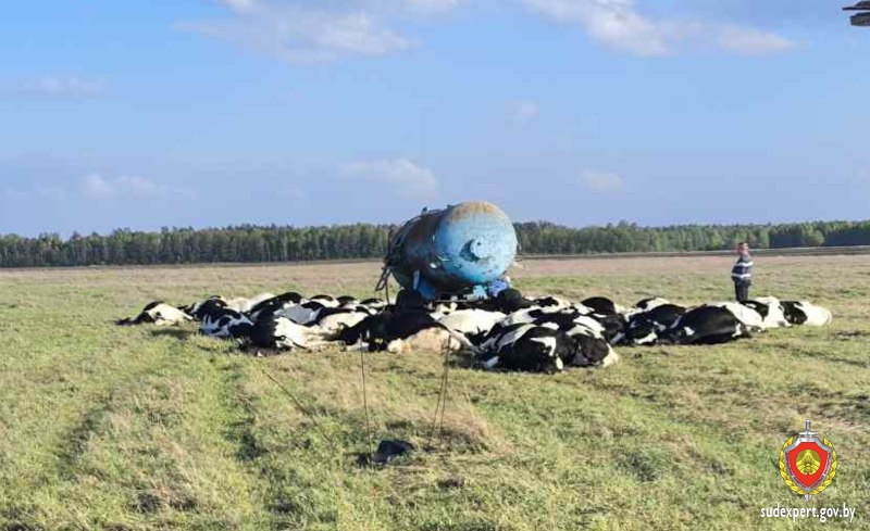 Мужчина чудом выжил после удара молнии в Петриковском районе