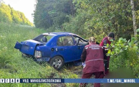 На Минщине погиб водитель