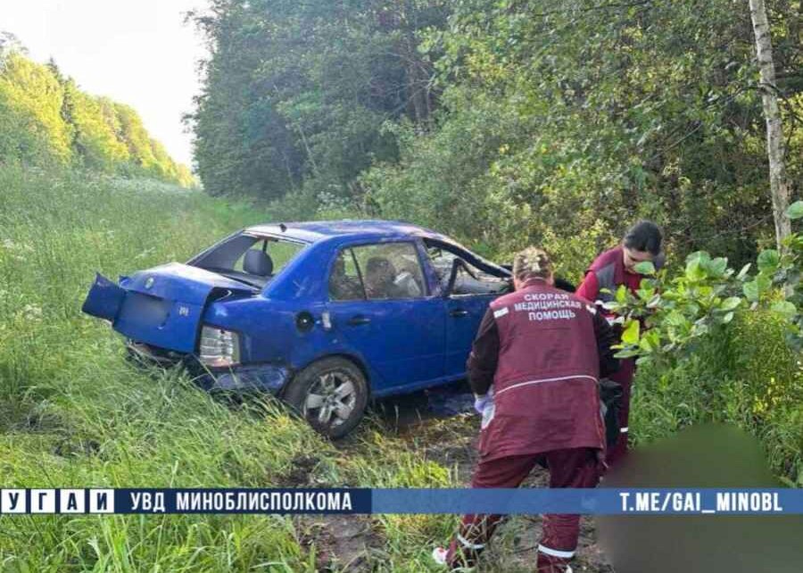 На Минщине погиб водитель