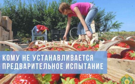 Кому при заключении трудового договора не устанавливается предварительное испытание