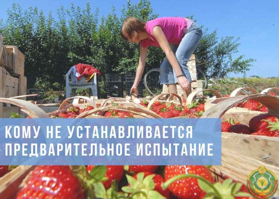 Кому при заключении трудового договора не устанавливается предварительное испытание