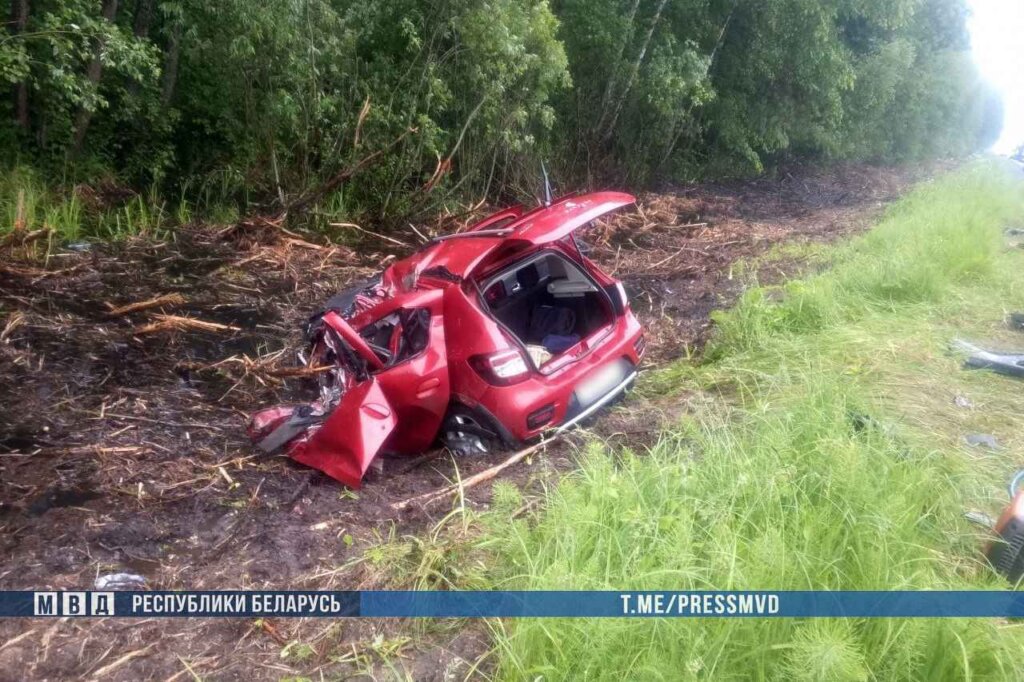 Авария на Гомельщине — трое погибших: «Рено» выехал на «встречку»