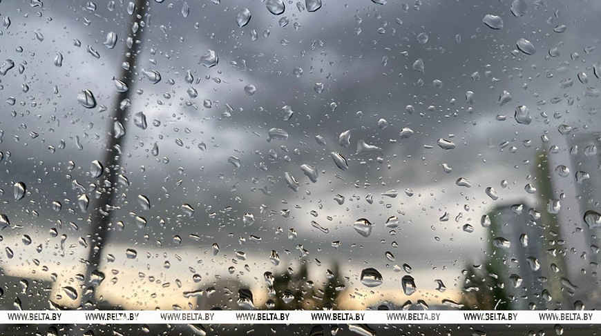 Сильные дожди и грозы прогнозируются во многих районах Беларуси