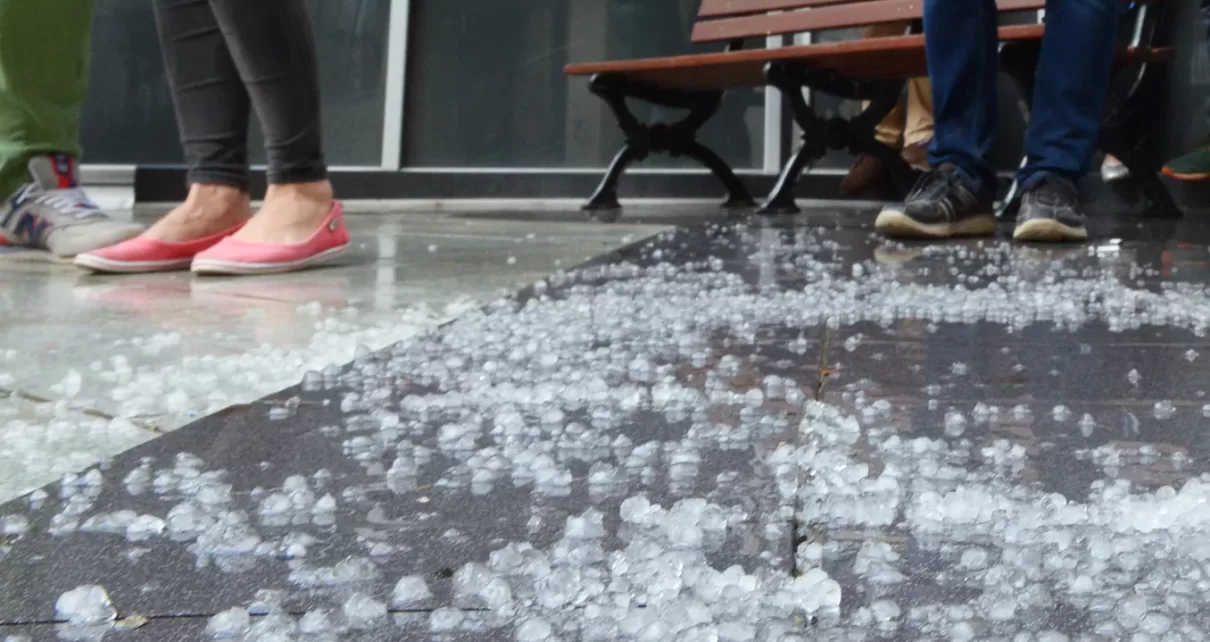 Об этом лете: такая погода в Беларуси бывает раз в 10 лет