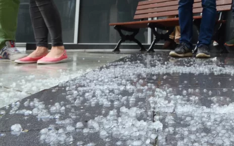 Об этом лете: такая погода в Беларуси бывает раз в 10 лет