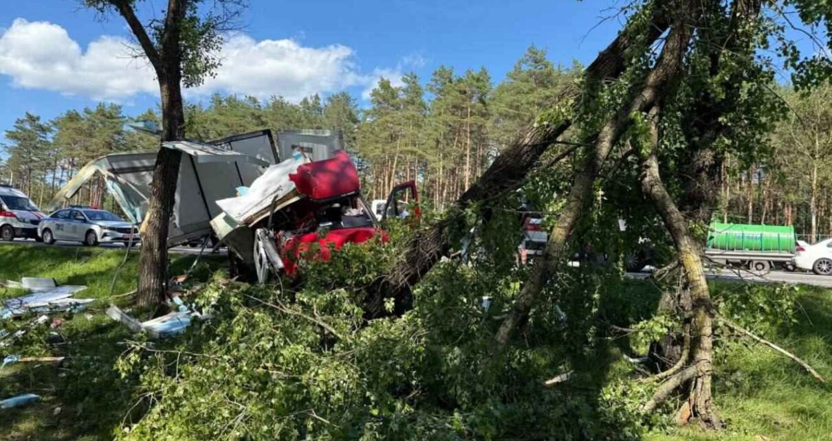 На МКАД грузовик «IVECO» съехал с дороги и врезался в дерево