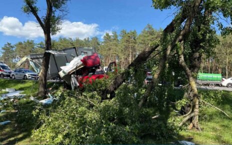 На МКАД грузовик «IVECO» съехал с дороги и врезался в дерево