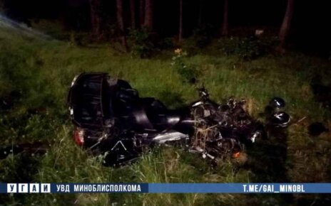 Водитель мотоцикла скончался врезавшись в лося на дороге М-2 "Минск – Национальный аэропорт"Минск"