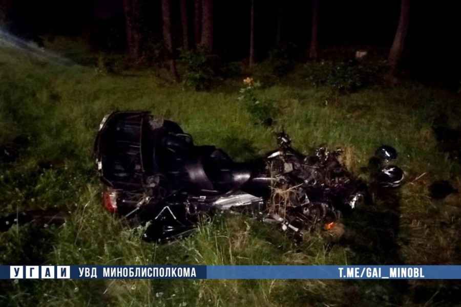Водитель мотоцикла скончался врезавшись в лося на дороге М-2 "Минск – Национальный аэропорт"Минск"