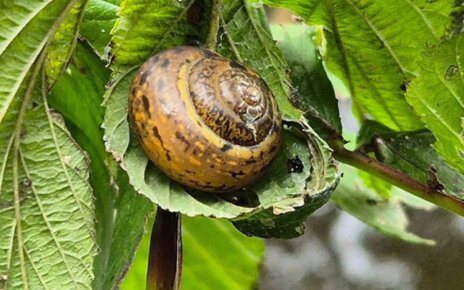 Какой будет погода в Беларуси на этой неделе: cолнечно, умеренно тепло, но с небольшими дождями