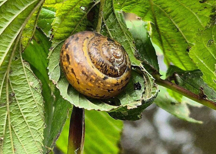 Какой будет погода в Беларуси на этой неделе: cолнечно, умеренно тепло, но с небольшими дождями