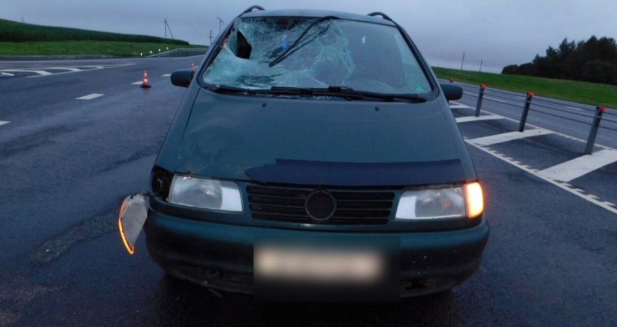 В Оршанском районе в аварии погиб пешеход