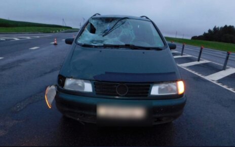 В Оршанском районе в аварии погиб пешеход