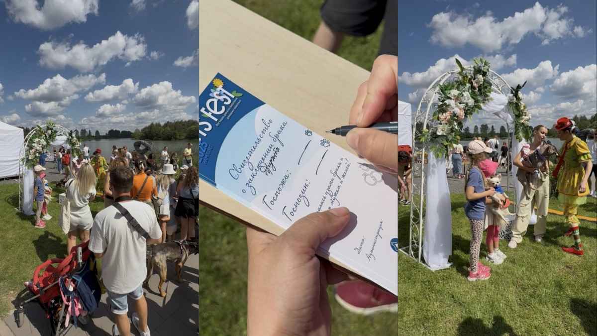 В Минске “поженили” 263 собачьи пары, а среди гостей были лисица, сурикат, коза, свинка и даже хомяк.