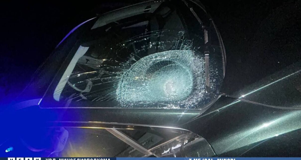 На дороге М-5 Минск-Гомель насмерть сбили пешехода