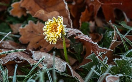 Возможны осенние заморозки. О погоде рассказал Дмитрий Рябов