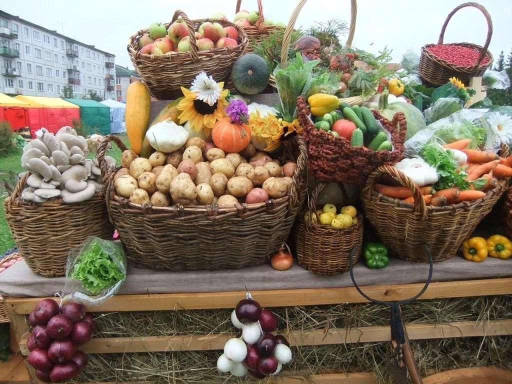 Адреса сельхозярмарок в Минске для выгодных покупок Адреса сельхозярмарок в Минске