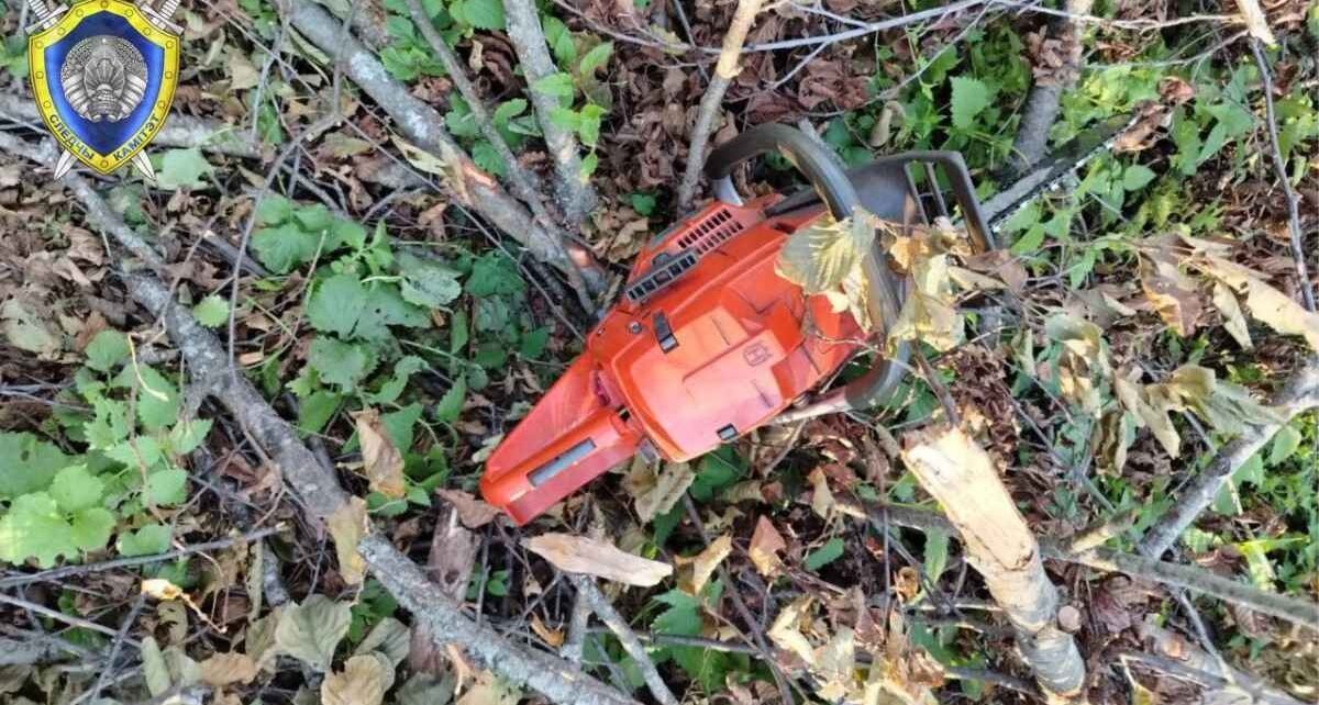 В Лельчицком районе погиб помощник вальщика леса