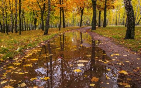 Какую погоду ждать на выходных? Прогноз с 26 по 30 сентября