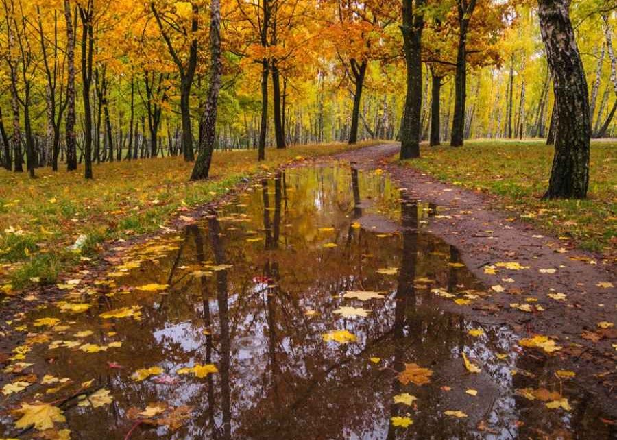 Какую погоду ждать на выходных? Прогноз с 26 по 30 сентября