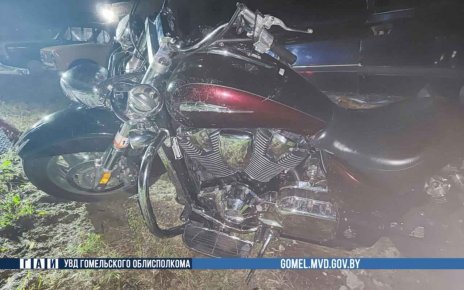 Мотоциклист сбил лося на трассе «Бобруйск – Мозырь -граница Украины»