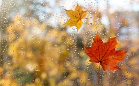 Ночью возможен снег, прогнозируется усиление ветра